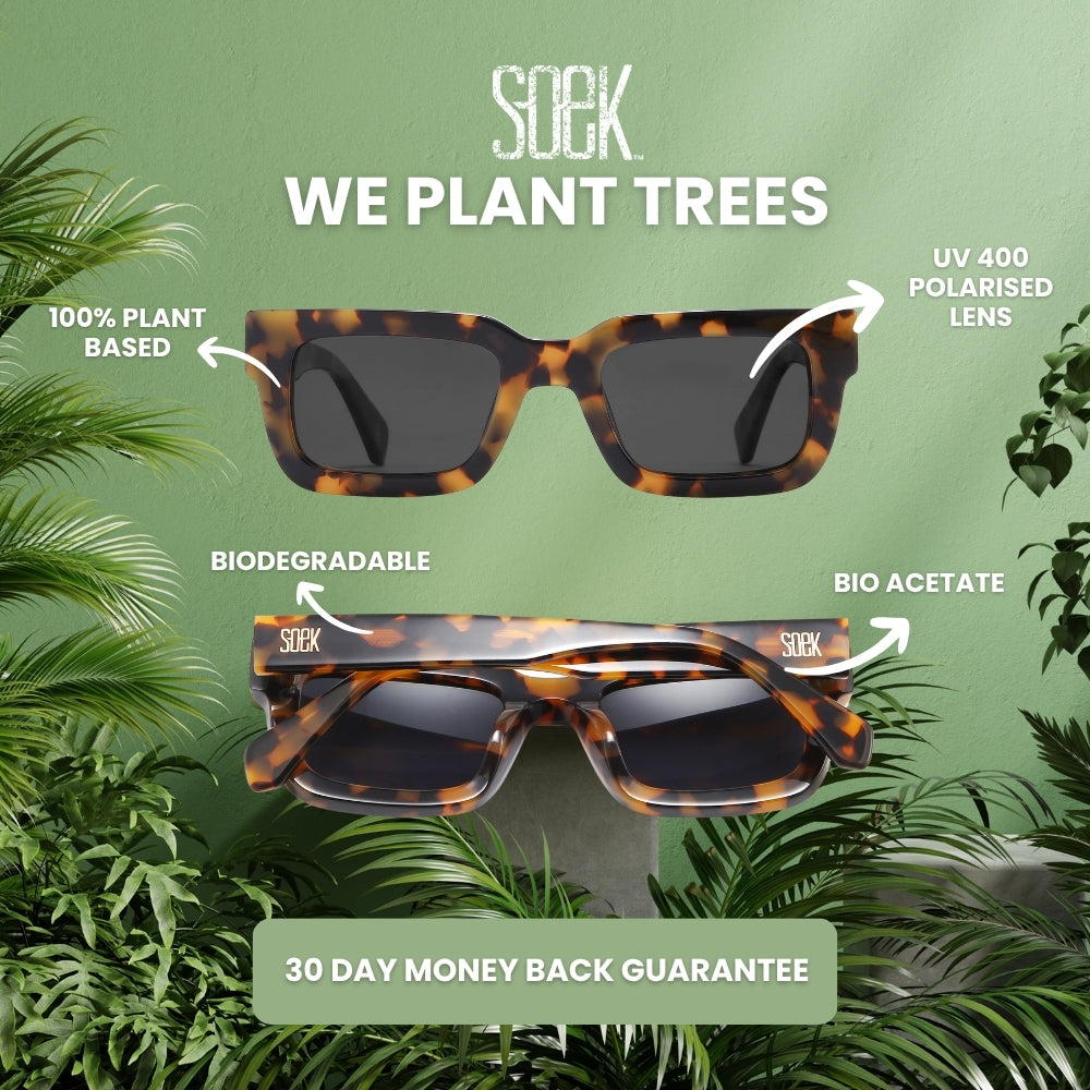 BEYOND SANDSTONE - Bio Acetate Ivory Tortoise Frame l Black Polarised Lens