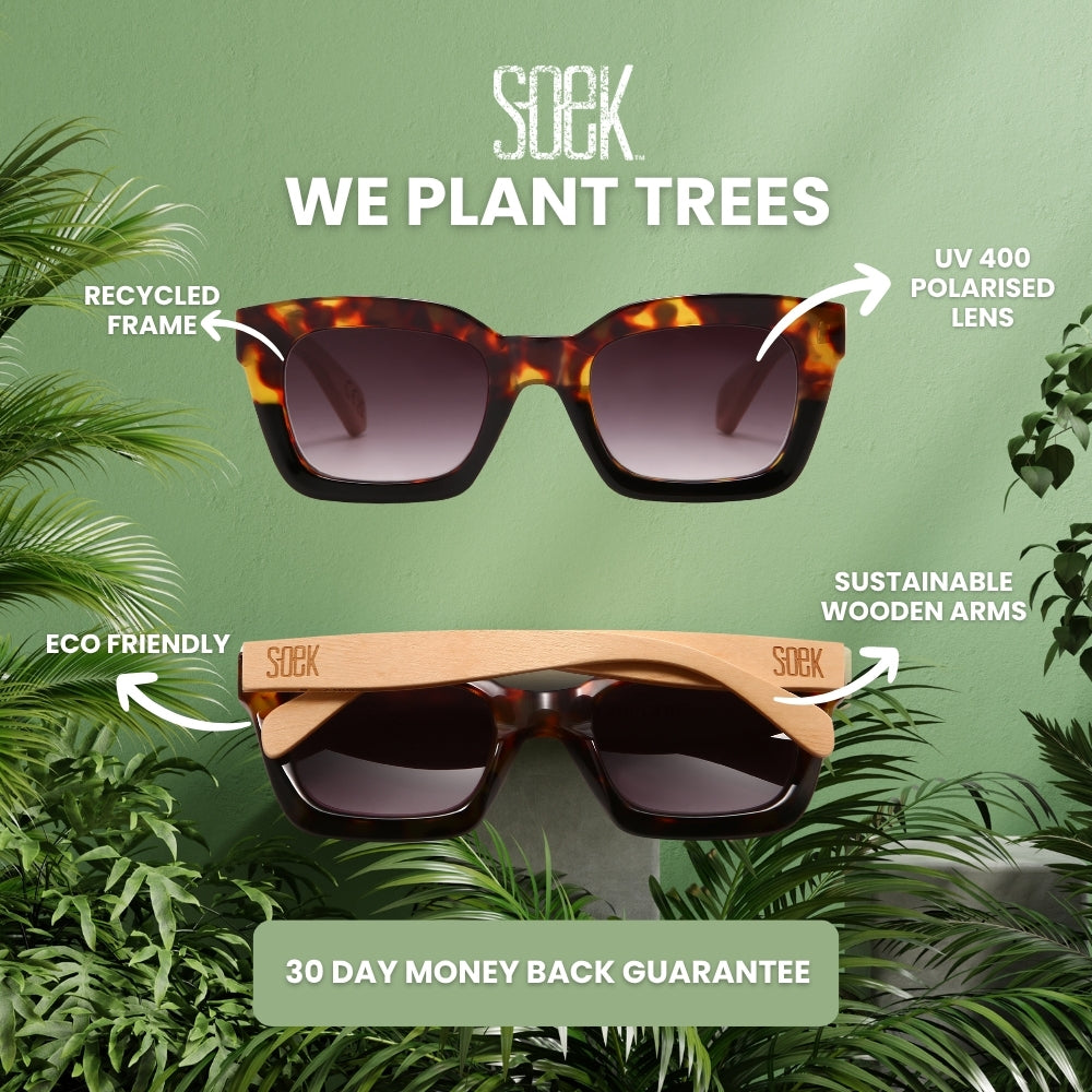 CLEO Bloom -  Rose Gold Metal Frame l Brown Gradient Lens l Walnut Arms